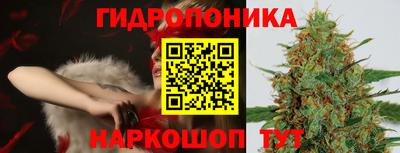 марихуана Кингисепп