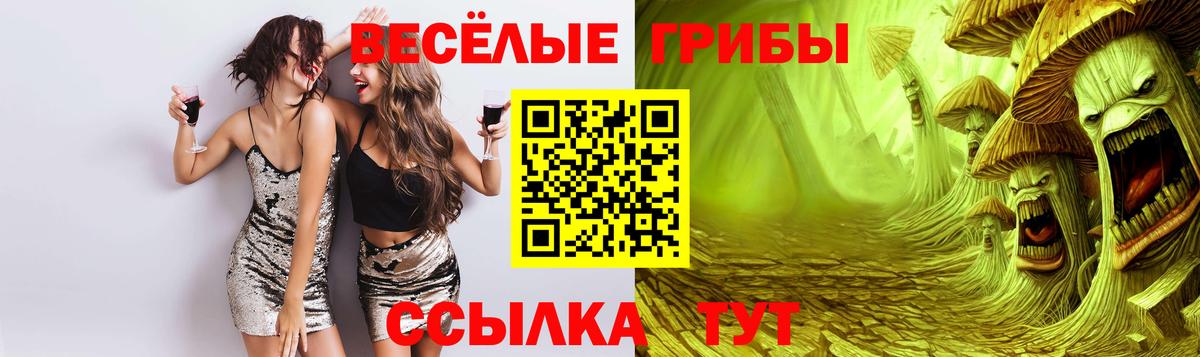 Красногорск  Галлюциногенные грибы Magic Shrooms  Псилоцибиновые грибы Cubensis  Вход с VPN 